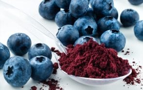 Blueberry Fruit Extract