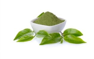 Green tea extract