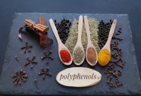 What are Polyphenols?
