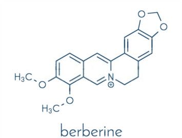 Berberine Bark Powder