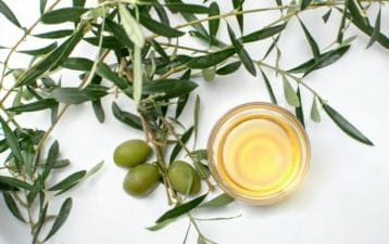 Olive leaf extracts