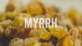 Myrrh